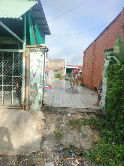 Tin tức